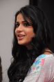 Actress Lavanya Tripathi Interview about Doosukeltha Movie Photos