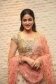 Lavanya Tripathi New Images @ Vunnadi Okate Zindagi Pre Release