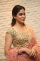 Beautiful Telugu Actress Lavanya Tripathi New Images