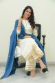 Actress Lavanya Tripathi Pictures @ Arjun Suravaram Movie Interview