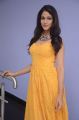 Actress Lavanya Tripathi Images @ Srirastu Subhamastu Title Song Launch