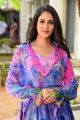 Actress Lavanya Tripathi Stills @ Arjun Suravaram Movie Success Meet