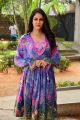 Actress Lavanya Tripathi Stills @ Arjun Suravaram Success Meet