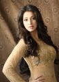 Actress Laxmi Rai Hot Photoshoot Stills