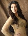 Actress Laxmi Rai Latest Hot Photoshoot Stills