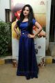 Actress Leema Babu Photos @ Dhoni Kabadi Kuzhu Movie Audio Release