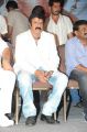 Balakrishna's Legend 75 Days Celebrations Photos