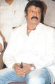 Balakrishna's Legend 75 Days Celebrations Photos