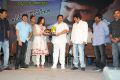 Balakrishna Legend Movie 75 Days Celebrations Photos