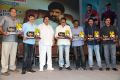 Balakrishna Legend Movie 75 Days Celebrations Photos