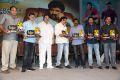 Balakrishna Legend Movie 75 Days Celebrations Photos