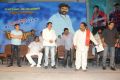 Balakrishna Legend Movie 75 Days Celebrations Photos