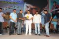 Balakrishna Legend Movie 75 Days Celebrations Photos