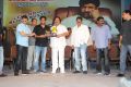 Balakrishna Legend Movie 75 Days Celebrations Photos