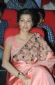 Hamsa Nandini @ Legend Movie Audio Release Function Stills