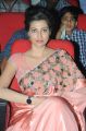 Hamsa Nandini @ Legend Movie Audio Release Function Stills