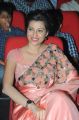 Hamsa Nandini @ Legend Movie Audio Release Function Stills