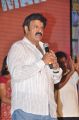 Actor Balakrishna @ Legend Movie Success Meet Function Stills