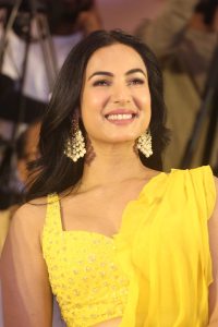 Actress Sonal Chauhan @ Legend Movie 10 Years Celebration Stills