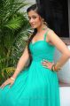 Telugu Actress Shagun Hot Stills in Long Blue Sleeveless Dress