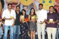 Life Is Beautiful Audio Release Photos