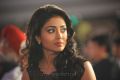 Shriya Saran at Life Is Beautiful Audio Release Photos