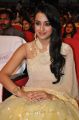 Lion Movie Actress Trisha Cute Saree Stills