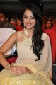 Lion Movie Actress Trisha Cute Saree Stills