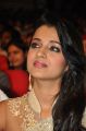 Lion Movie Actress Trisha Cute Saree Stills