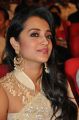 Lion Heroine Trisha Krishnan Cute Saree Stills