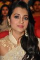 Lion Movie Actress Trisha Cute Saree Stills