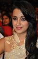 Lion Actress Trisha Krishnan Cute Saree Stills