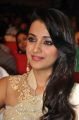 Lion Movie Actress Trisha Cute Saree Stills