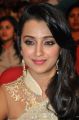 Lion Heroine Trisha Krishnan Cute Saree Stills