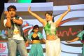 Lion Movie Audio Launch Stills