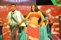 Lion Movie Audio Launch Stills