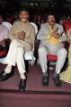 N.Chandrababu Naidu, Balakrishna @ Lion Movie Audio Release Function Photos