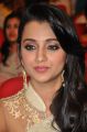 Trisha Krishnan @ Lion Movie Audio Release Function Photos