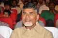 AP CM N.Chandrababu Naidu @ Lion Movie Audio Release Function Photos