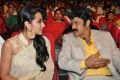 Trisha, Balakrishna @ Lion Movie Audio Release Function Photos