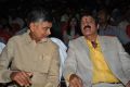 Chandrababu Naidu, Balakrishna @ Lion Movie Audio Release Function Photos