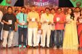 Lion Movie Audio Release Function Photos