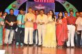 Lion Movie Audio Release Function Photos