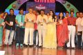 Lion Movie Audio Release Function Photos