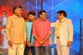 Lion Movie Audio Release Function Photos