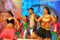 Lion Movie Audio Release Function Photos