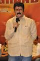 Nandamuri Balakrishna @ Lion Movie Success Meet Stills