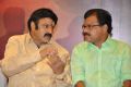 Lion Movie Success Meet Stills