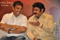 Lion Movie Success Meet Stills