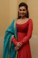 Bollywood Actress Lisa Ray in Red Dress Photos